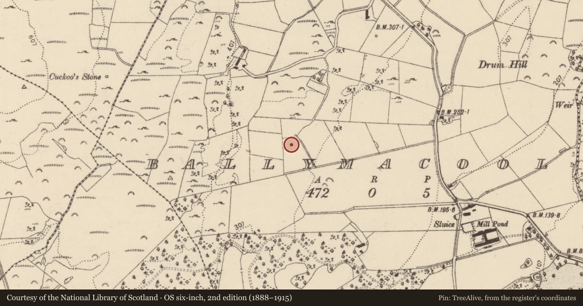 Ordnance Survey six-inch map, 2nd edition (1888–1915) covering the location of Ringfort - unclassified, Ballymacool, County Donegal, with a pin at the register's coordinates