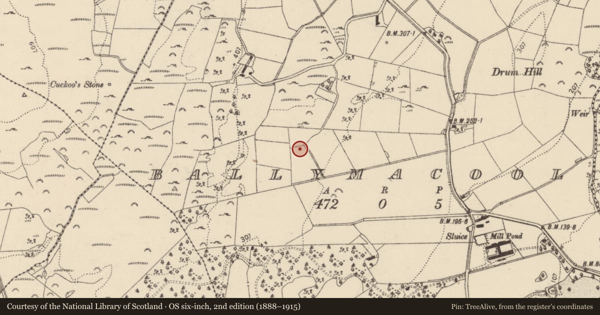 Ordnance Survey six-inch map, 2nd edition (1888–1915) covering the location of Souterrain, Ballymacool, County Donegal, with a pin at the register's coordinates