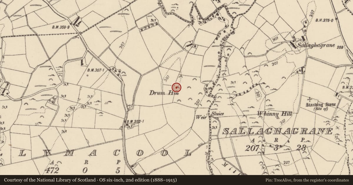 Ordnance Survey six-inch map, 2nd edition (1888–1915) covering the location of Ringfort - unclassified, Ballymacool, County Donegal, with a pin at the register's coordinates