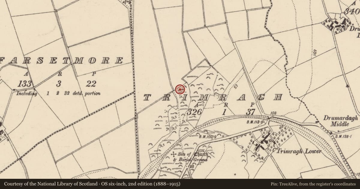 Ordnance Survey six-inch map, 2nd edition (1888–1915) covering the location of Rock art, Trimragh, County Donegal, with a pin at the register's coordinates