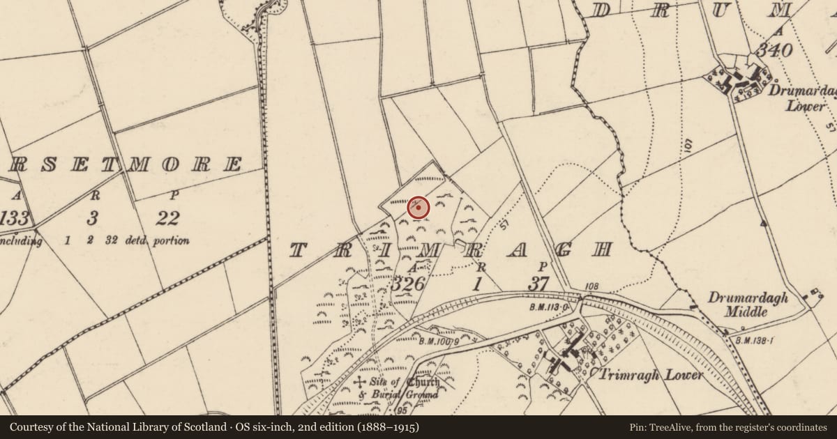 Ordnance Survey six-inch map, 2nd edition (1888–1915) covering the location of Rock art, Trimragh, County Donegal, with a pin at the register's coordinates