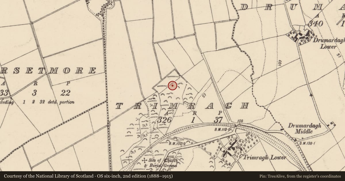 Ordnance Survey six-inch map, 2nd edition (1888–1915) covering the location of Rock art, Trimragh, County Donegal, with a pin at the register's coordinates