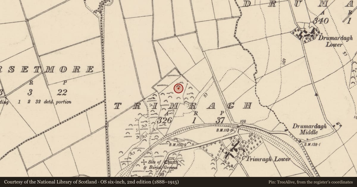 Ordnance Survey six-inch map, 2nd edition (1888–1915) covering the location of Rock art, Trimragh, County Donegal, with a pin at the register's coordinates