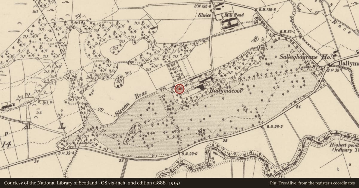 Ordnance Survey six-inch map, 2nd edition (1888–1915) covering the location of Souterrain, Ballymacool, County Donegal, with a pin at the register's coordinates