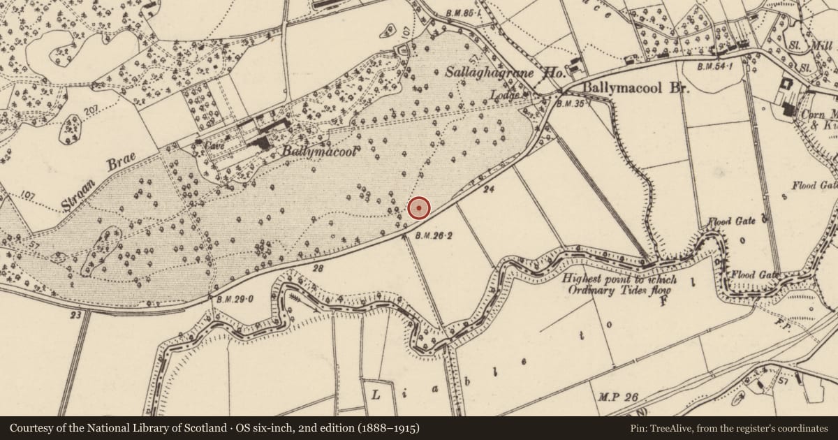 Ordnance Survey six-inch map, 2nd edition (1888–1915) covering the location of Souterrain, Ballymacool, County Donegal, with a pin at the register's coordinates