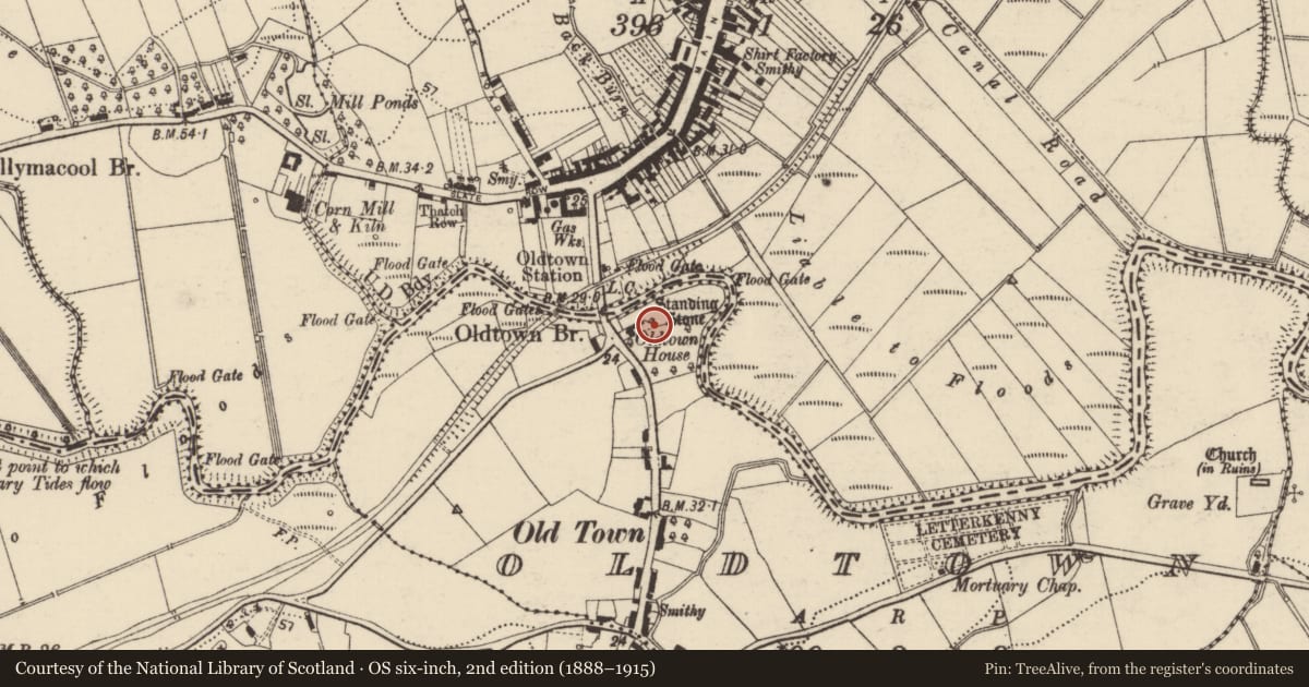 Ordnance Survey six-inch map, 2nd edition (1888–1915) covering the location of Standing stone, Oldtown, County Donegal, with a pin at the register's coordinates
