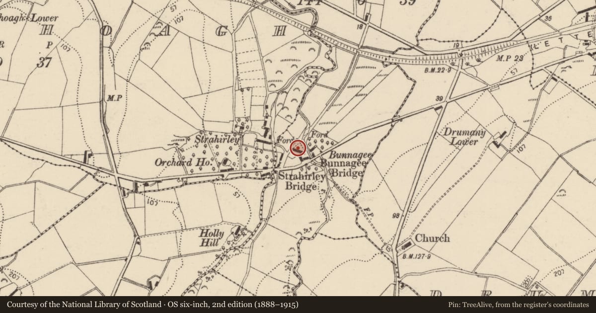 Ordnance Survey six-inch map, 2nd edition (1888–1915) covering the location of Bullaun stone, Bunnagee, County Donegal, with a pin at the register's coordinates