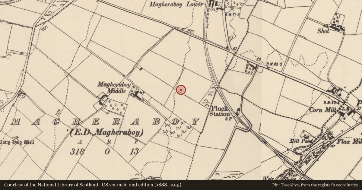 Ordnance Survey six-inch map, 2nd edition (1888–1915) covering the location of Standing stone, Magheraboy, County Donegal, with a pin at the register's coordinates