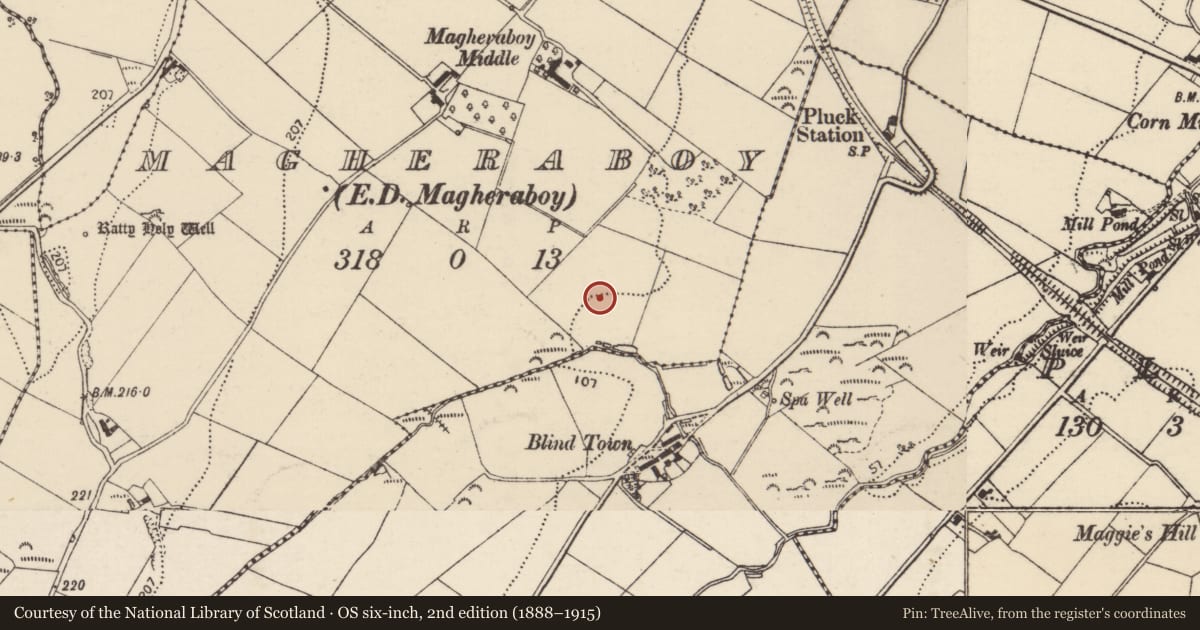 Ordnance Survey six-inch map, 2nd edition (1888–1915) covering the location of Cairn - unclassified, Magheraboy, County Donegal, with a pin at the register's coordinates