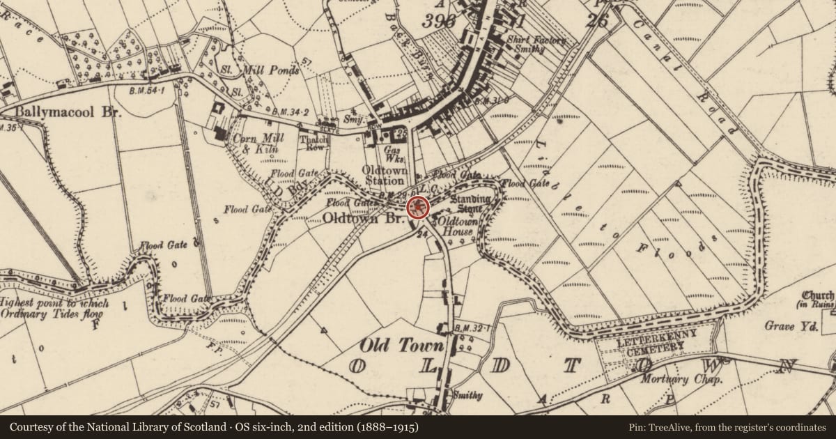 Ordnance Survey six-inch map, 2nd edition (1888–1915) covering the location of Bridge, Letterkenny, Oldtown, County Donegal, with a pin at the register's coordinates