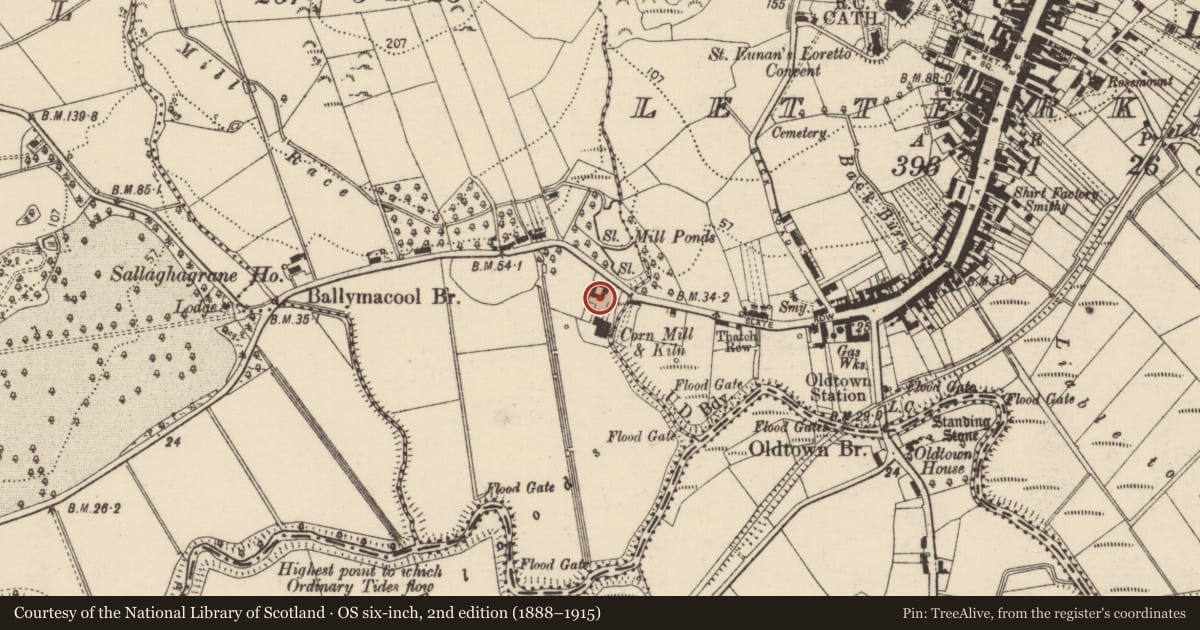 Ordnance Survey six-inch map, 2nd edition (1888–1915) covering the location of Water mill - unclassified, Letterkenny, Sallaghagrane, County Donegal, with a pin at the register's coordinates