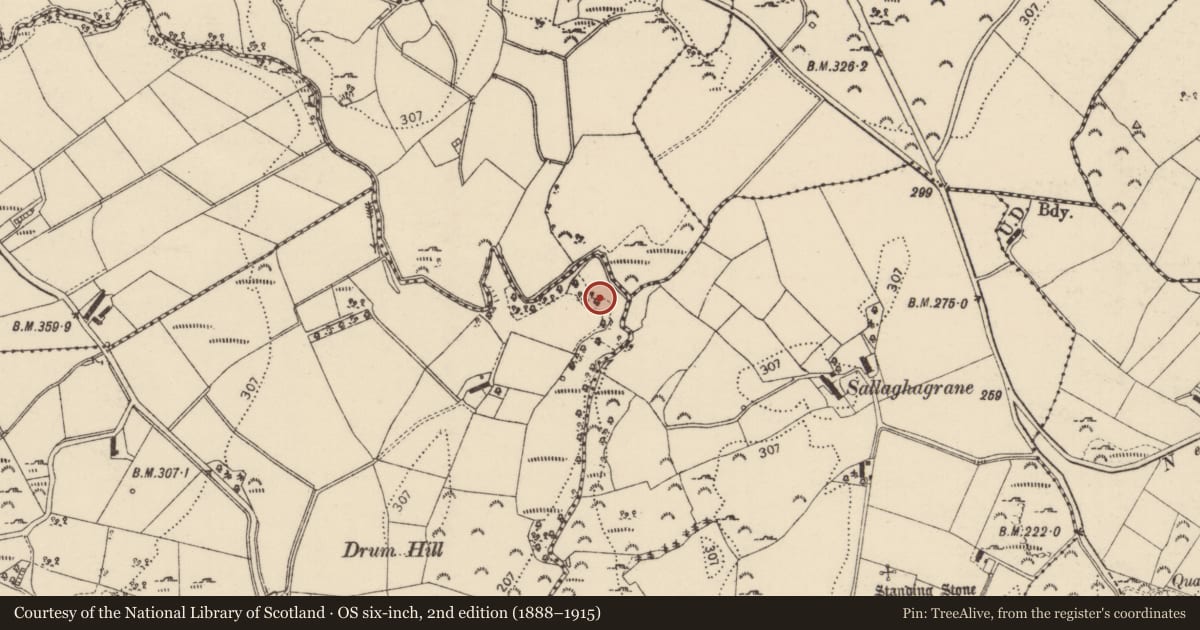Ordnance Survey six-inch map, 2nd edition (1888–1915) covering the location of Mass-rock, Ballymacool, County Donegal, with a pin at the register's coordinates