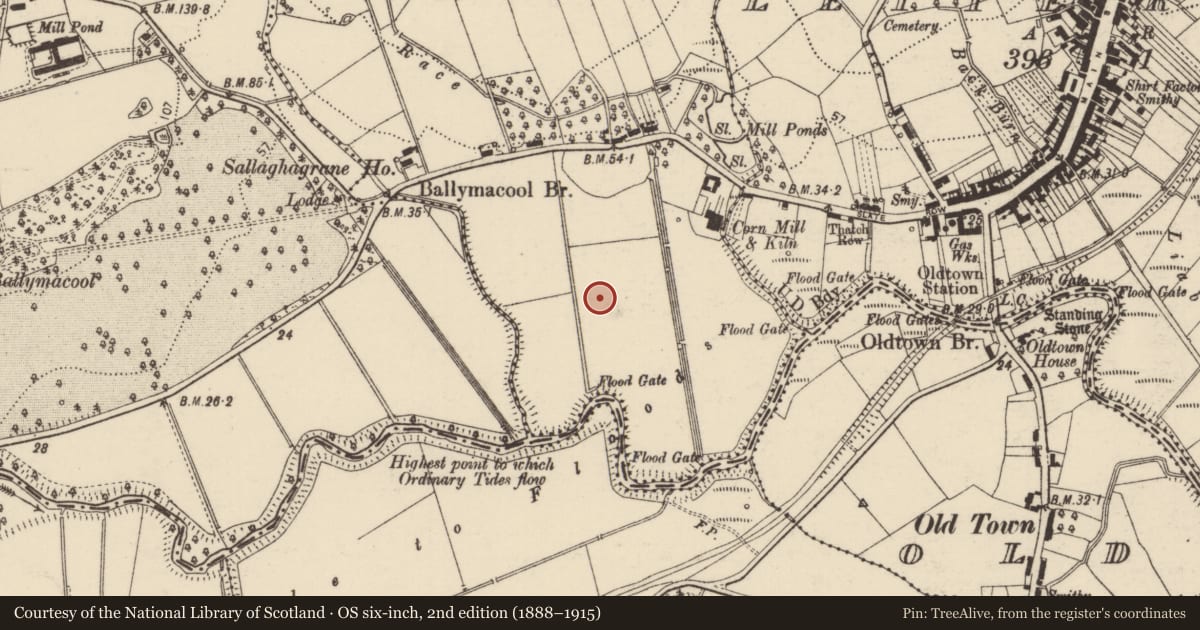 Ordnance Survey six-inch map, 2nd edition (1888–1915) covering the location of Enclosure, Sallaghagrane, County Donegal, with a pin at the register's coordinates