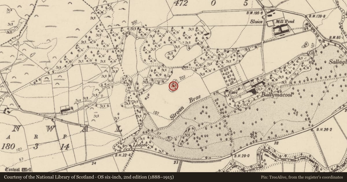 Ordnance Survey six-inch map, 2nd edition (1888–1915) covering the location of Designed landscape feature, Ballymacool, County Donegal, with a pin at the register's coordinates