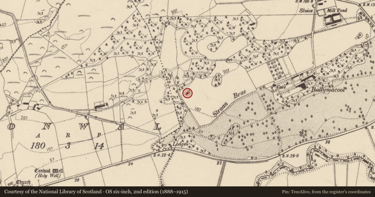 Ordnance Survey six-inch map, 2nd edition (1888–1915) covering the location of Designed landscape - tree-ring, Ballymacool, County Donegal, with a pin at the register's coordinates