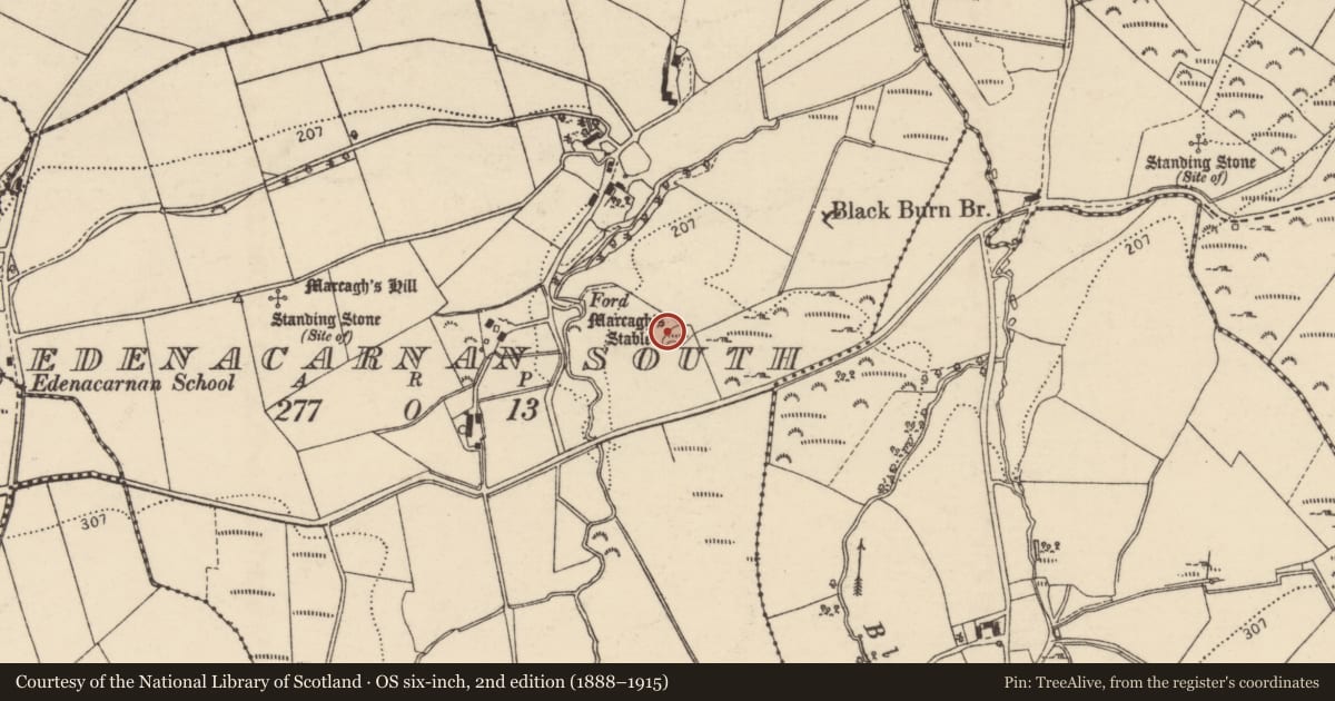 Ordnance Survey six-inch map, 2nd edition (1888–1915) covering the location of Enclosure, Edenacarnan South, County Donegal, with a pin at the register's coordinates