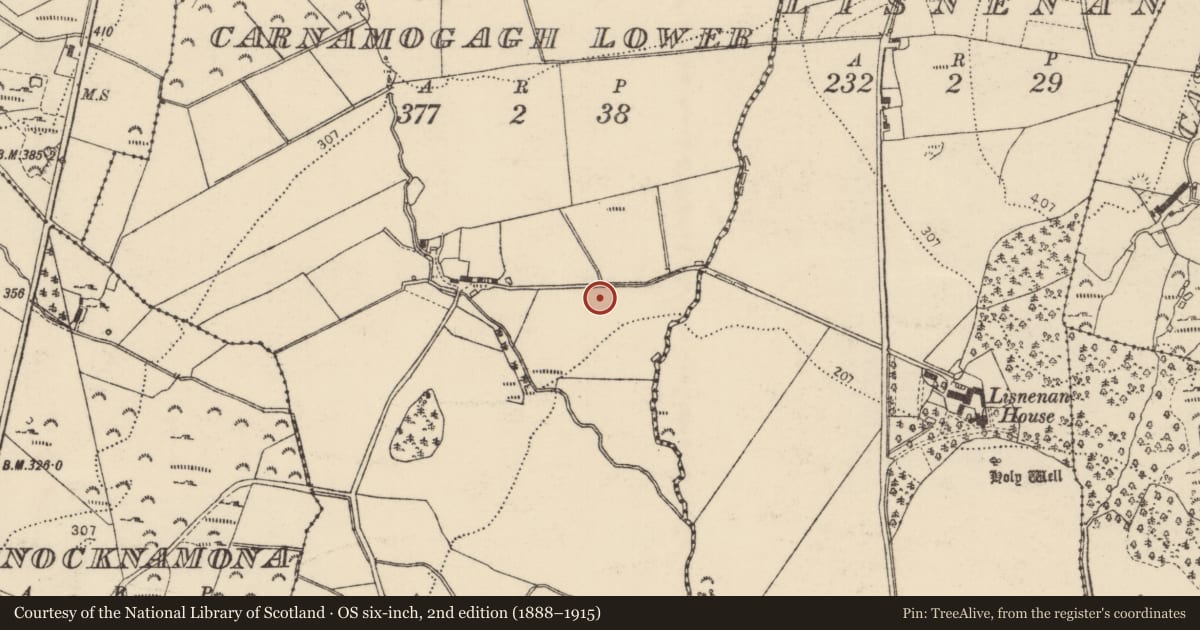 Ordnance Survey six-inch map, 2nd edition (1888–1915) covering the location of Standing stone, Carnamogagh Lower, County Donegal, with a pin at the register's coordinates