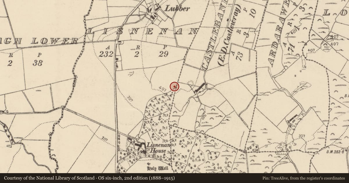 Ordnance Survey six-inch map, 2nd edition (1888–1915) covering the location of Souterrain, Lisnenan, County Donegal, with a pin at the register's coordinates