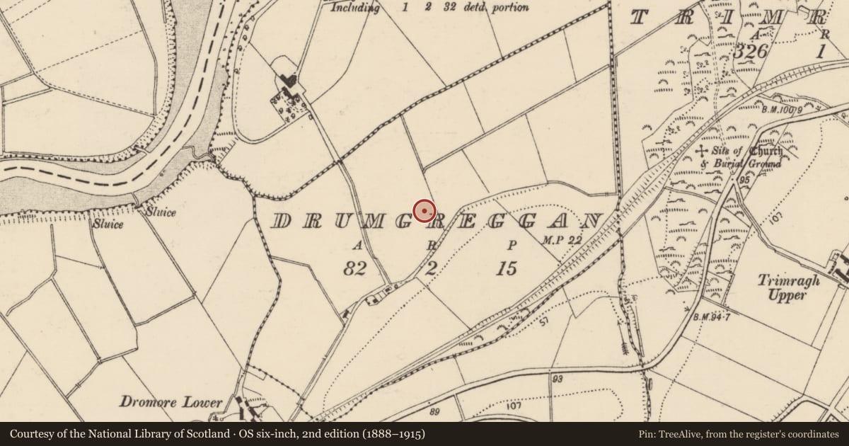 Ordnance Survey six-inch map, 2nd edition (1888–1915) covering the location of Enclosure, Drumgreggan, County Donegal, with a pin at the register's coordinates