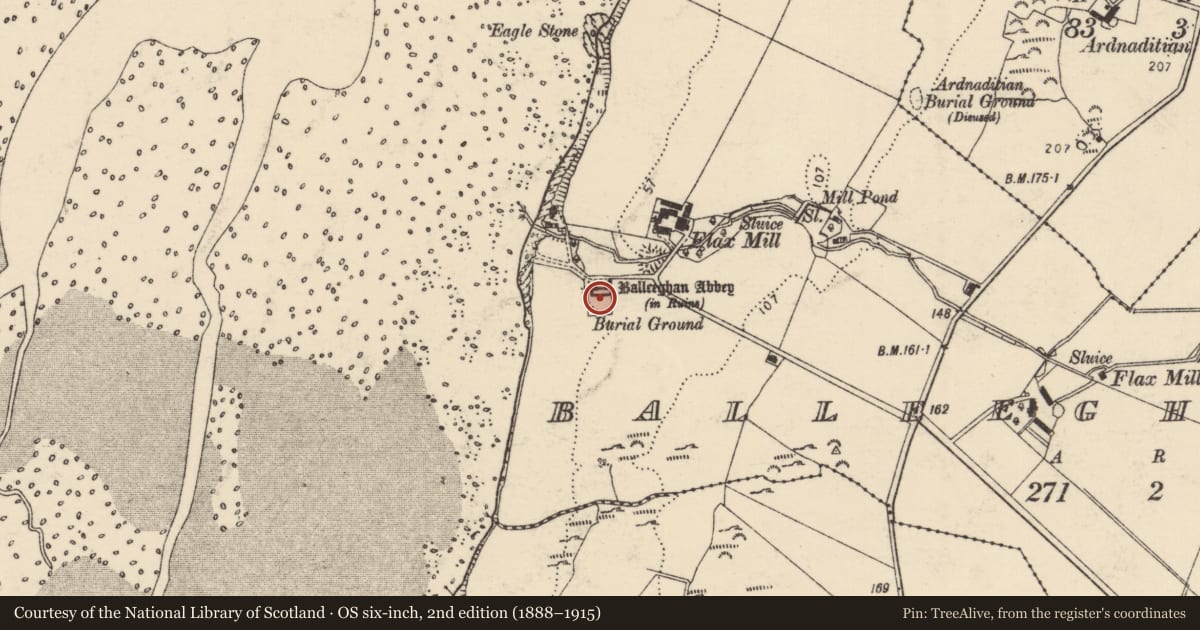 Ordnance Survey six-inch map, 2nd edition (1888–1915) covering the location of Graveyard, Balleeghan, County Donegal, with a pin at the register's coordinates