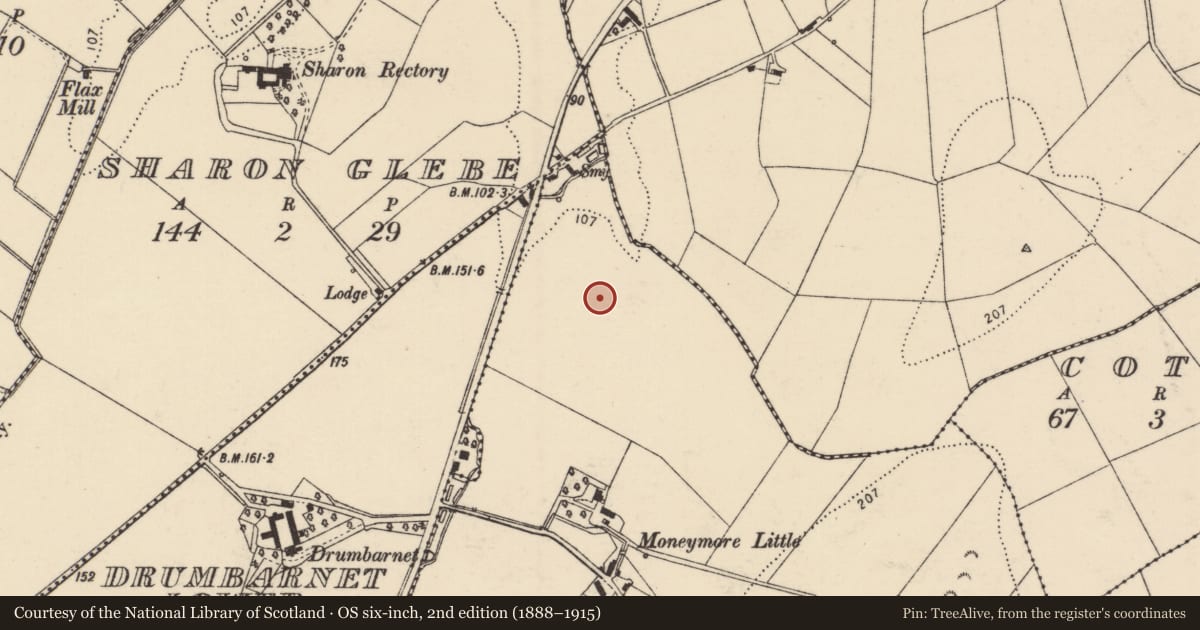 Ordnance Survey six-inch map, 2nd edition (1888–1915) covering the location of Enclosure, Moneymore, County Donegal, with a pin at the register's coordinates