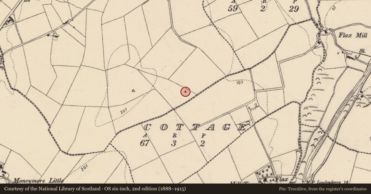 Ordnance Survey six-inch map, 2nd edition (1888–1915) covering the location of Ringfort - unclassified, Killyverry, County Donegal, with a pin at the register's coordinates