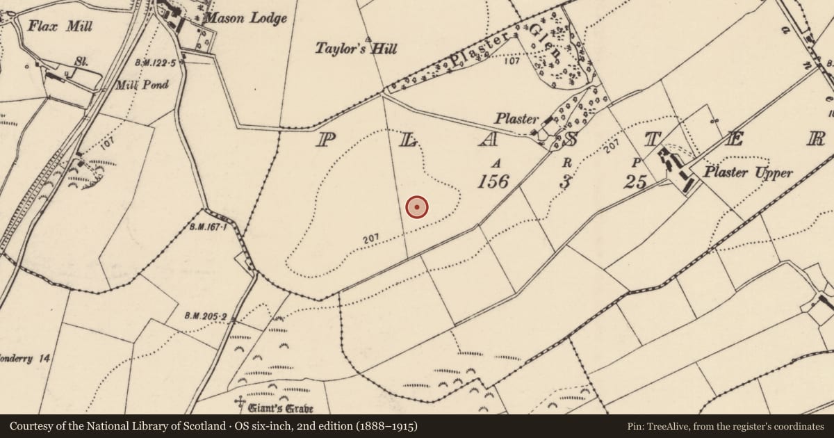 Ordnance Survey six-inch map, 2nd edition (1888–1915) covering the location of Enclosure, Plaster, County Donegal, with a pin at the register's coordinates