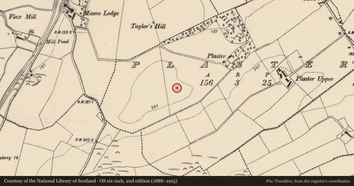 Ordnance Survey six-inch map, 2nd edition (1888–1915) covering the location of Enclosure, Plaster, County Donegal, with a pin at the register's coordinates