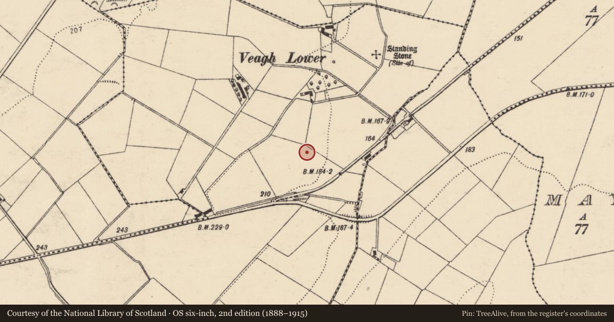 Ordnance Survey six-inch map, 2nd edition (1888–1915) covering the location of Standing stone, Veagh, County Donegal, with a pin at the register's coordinates