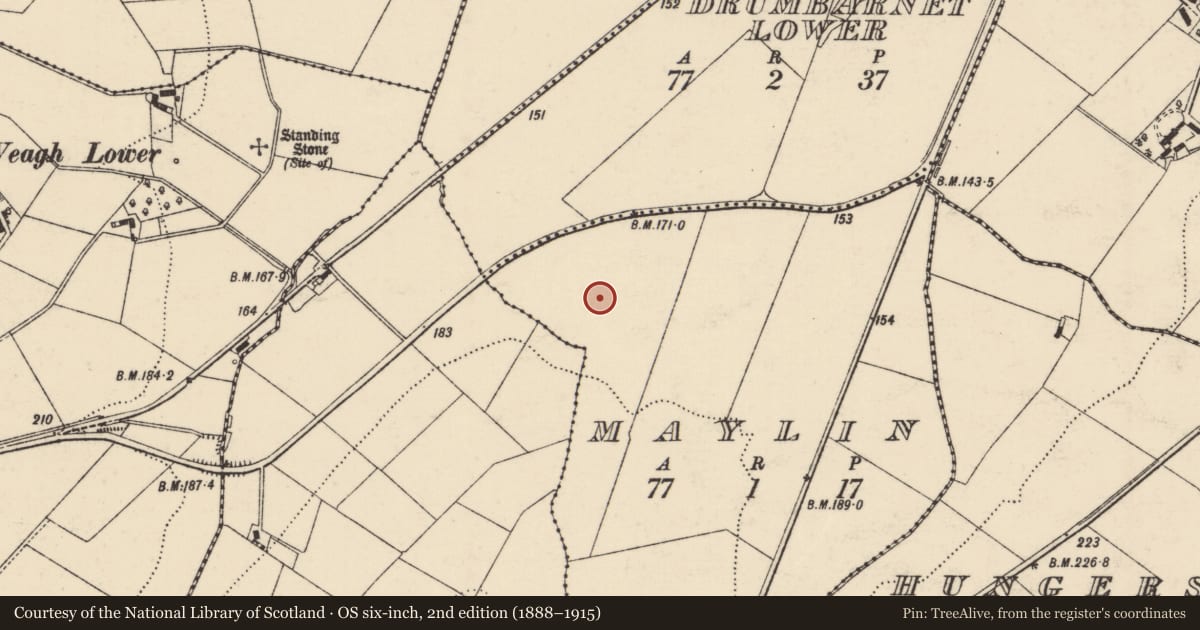 Ordnance Survey six-inch map, 2nd edition (1888–1915) covering the location of Enclosure, Maylin, County Donegal, with a pin at the register's coordinates