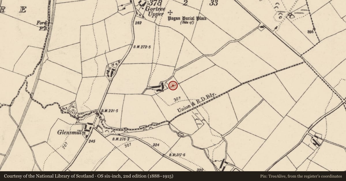 Ordnance Survey six-inch map, 2nd edition (1888–1915) covering the location of Standing stone, Gortree, County Donegal, with a pin at the register's coordinates