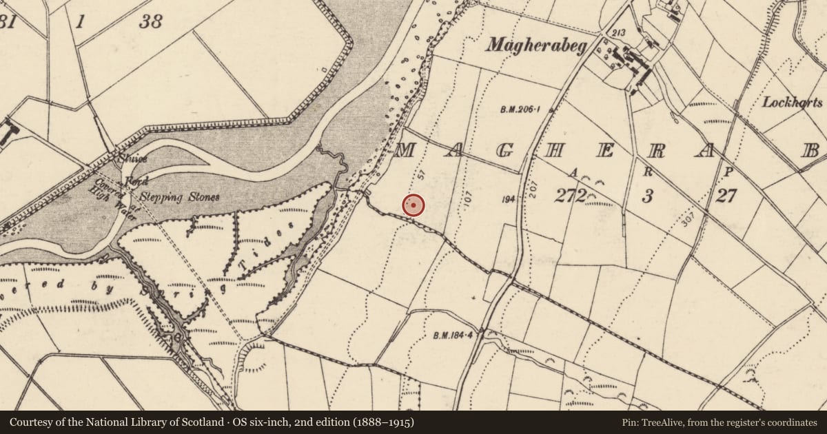Ordnance Survey six-inch map, 2nd edition (1888–1915) covering the location of Enclosure, Maghera Beg, County Donegal, with a pin at the register's coordinates