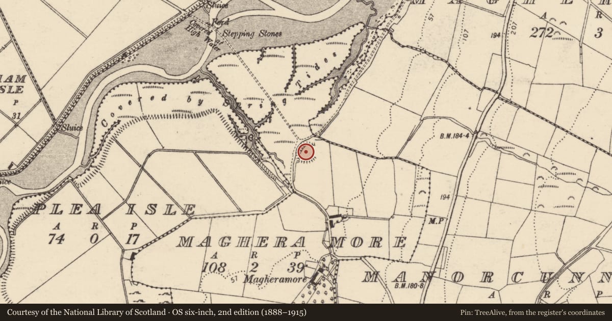 Ordnance Survey six-inch map, 2nd edition (1888–1915) covering the location of Ringfort - unclassified, Maghera More, County Donegal, with a pin at the register's coordinates