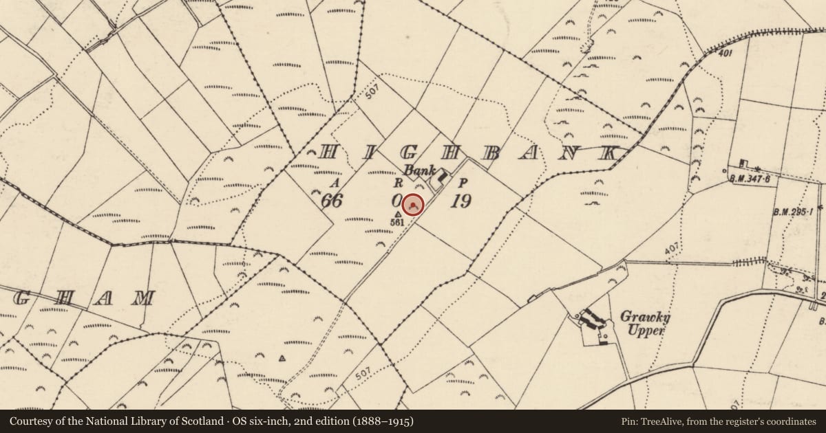 Ordnance Survey six-inch map, 2nd edition (1888–1915) covering the location of Standing stone, Highbank, County Donegal, with a pin at the register's coordinates