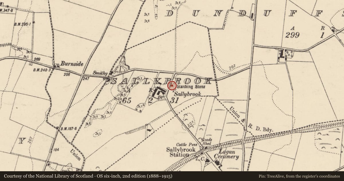 Ordnance Survey six-inch map, 2nd edition (1888–1915) covering the location of Standing stone, Sallybrook, County Donegal, with a pin at the register's coordinates