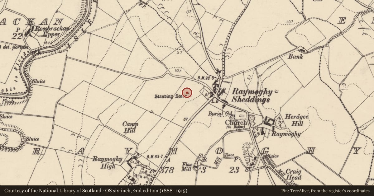 Ordnance Survey six-inch map, 2nd edition (1888–1915) covering the location of Standing stone, Raymoghy, County Donegal, with a pin at the register's coordinates