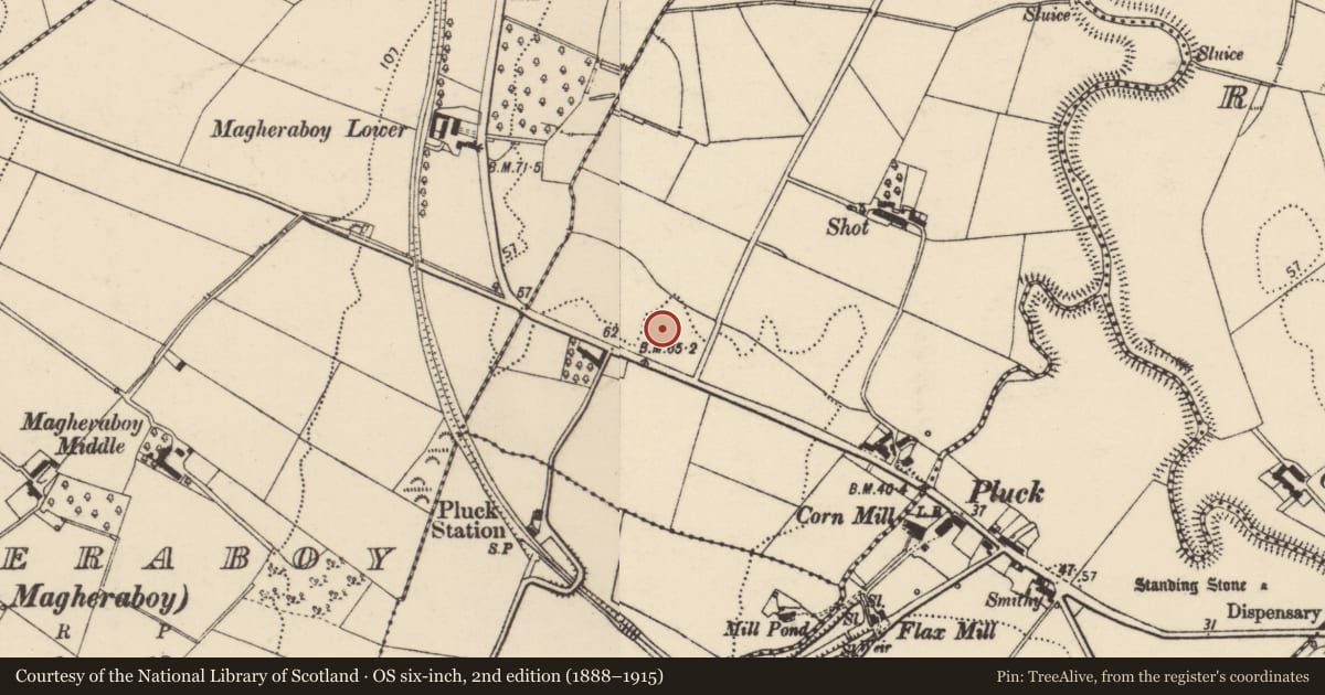 Ordnance Survey six-inch map, 2nd edition (1888–1915) covering the location of Standing stone, Rossbrackan, County Donegal, with a pin at the register's coordinates