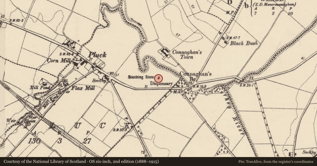 Ordnance Survey six-inch map, 2nd edition (1888–1915) covering the location of Standing stone, Pluck, County Donegal, with a pin at the register's coordinates