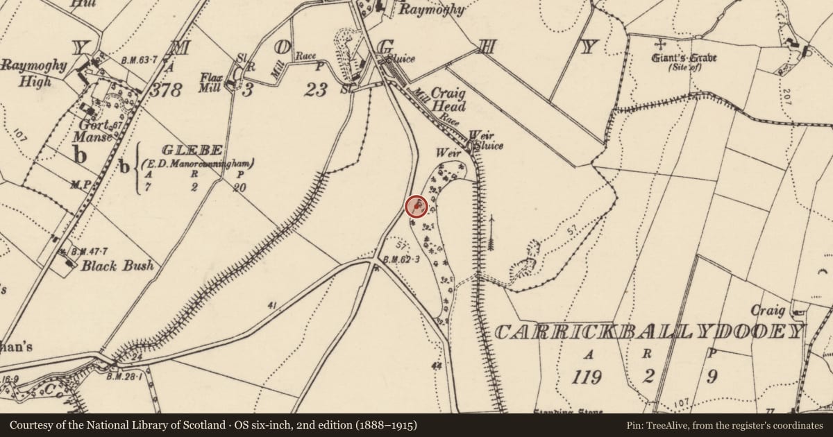 Ordnance Survey six-inch map, 2nd edition (1888–1915) covering the location of Cist, Labbadish, County Donegal, with a pin at the register's coordinates