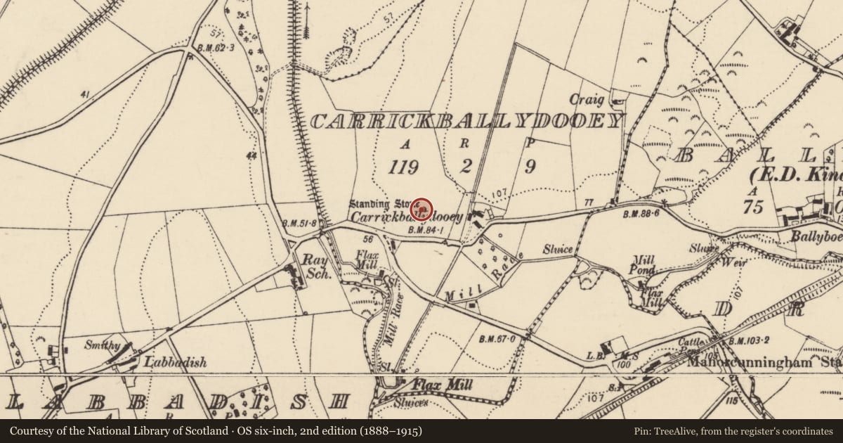 Ordnance Survey six-inch map, 2nd edition (1888–1915) covering the location of Cross-inscribed stone, Carrickballydooey, County Donegal, with a pin at the register's coordinates