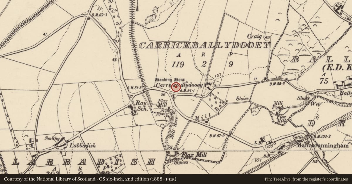 Ordnance Survey six-inch map, 2nd edition (1888–1915) covering the location of Cist, Carrickballydooey, County Donegal, with a pin at the register's coordinates