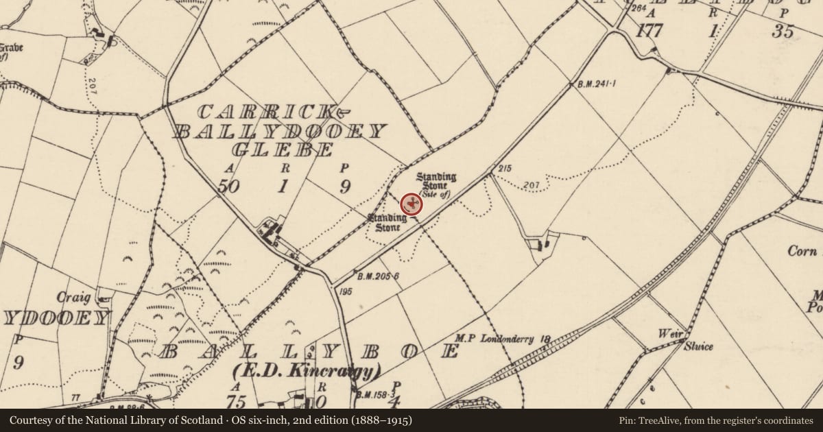 Ordnance Survey six-inch map, 2nd edition (1888–1915) covering the location of Standing stone, Baile Na Bó, Tullybogly, County Donegal, with a pin at the register's coordinates