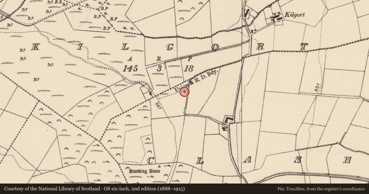 Ordnance Survey six-inch map, 2nd edition (1888–1915) covering the location of Standing stone, Clashygowan, County Donegal, with a pin at the register's coordinates