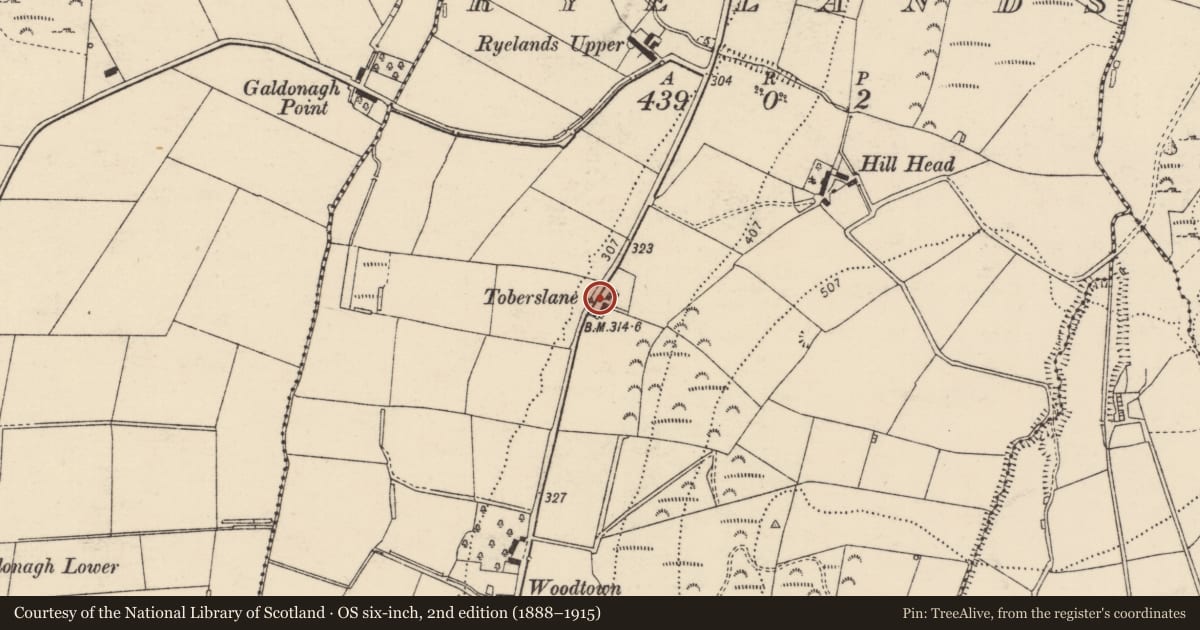 Ordnance Survey six-inch map, 2nd edition (1888–1915) covering the location of Ritual site - holy well, Ryelands, County Donegal, with a pin at the register's coordinates
