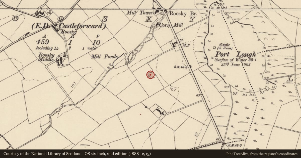 Ordnance Survey six-inch map, 2nd edition (1888–1915) covering the location of Ringfort - rath, Roosky, County Donegal, with a pin at the register's coordinates