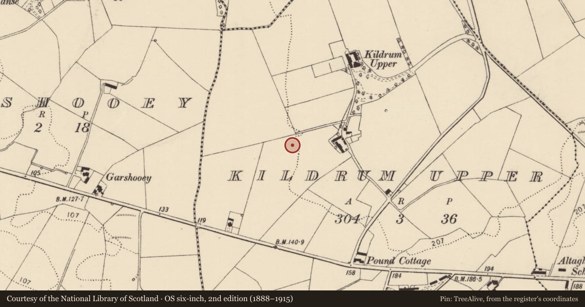 Ordnance Survey six-inch map, 2nd edition (1888–1915) covering the location of Ringfort - unclassified, Kildrum Upper, County Donegal, with a pin at the register's coordinates