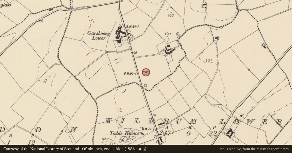 Ordnance Survey six-inch map, 2nd edition (1888–1915) covering the location of Ringfort - unclassified, Garshooey, County Donegal, with a pin at the register's coordinates