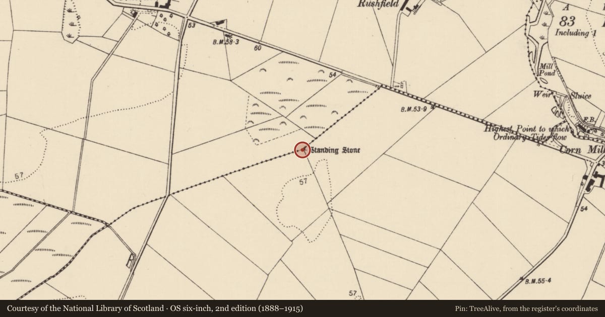 Ordnance Survey six-inch map, 2nd edition (1888–1915) covering the location of Standing stone, Cloghfin, Tonagh, County Donegal, with a pin at the register's coordinates