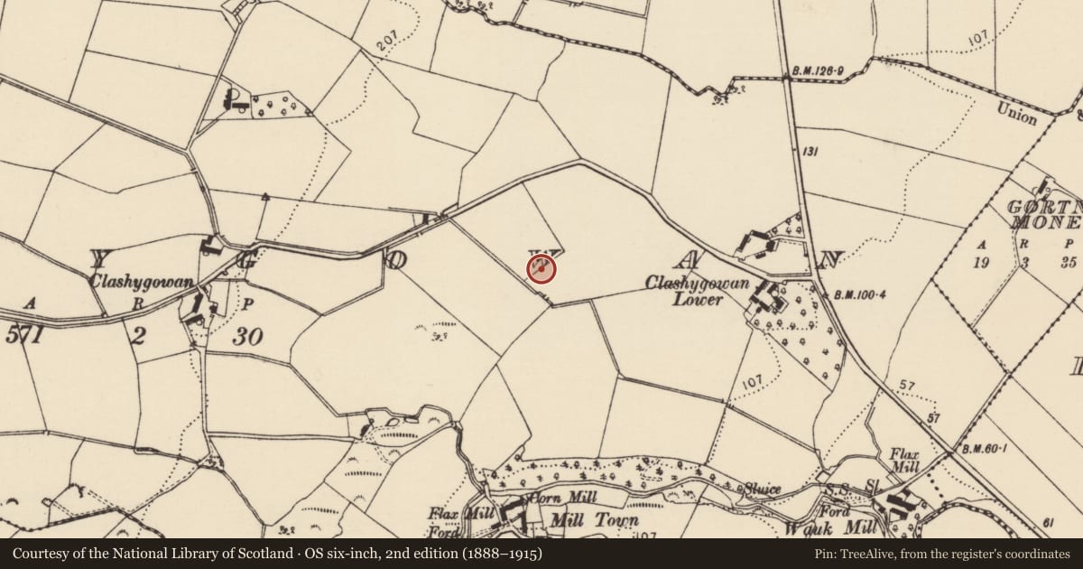 Ordnance Survey six-inch map, 2nd edition (1888–1915) covering the location of Inscribed stone, Clashygowan, County Donegal, with a pin at the register's coordinates