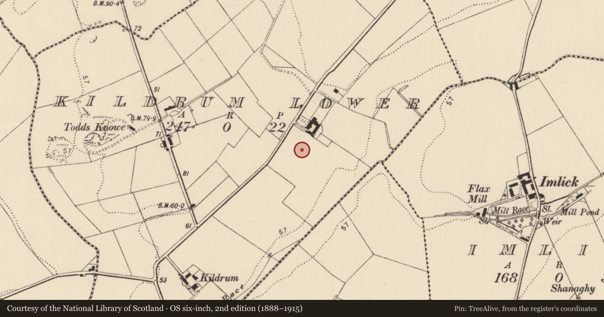 Ordnance Survey six-inch map, 2nd edition (1888–1915) covering the location of Megalithic tomb - unclassified, Kildrum Lower, County Donegal, with a pin at the register's coordinates